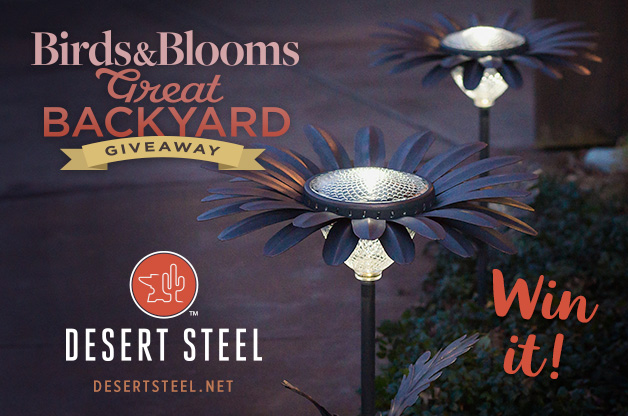 Birds & Blooms Great Backyard Giveaway