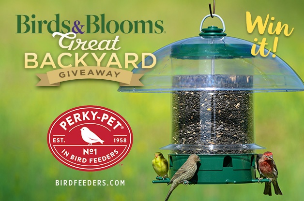 Birds & Blooms Great Backyard Giveaway