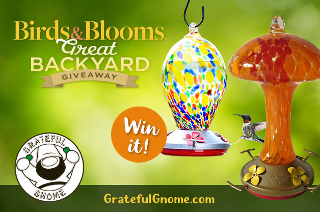 Enter to Win Two Glass Hummingbird Feeders
